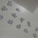  Criança de 7 anos é encontrada com mais de 100 pedras de crack em escola de Belo Jardim