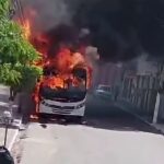 Ônibus escolar é destruído por incêndio em Nazaré da Mata; ninguém ficou ferido