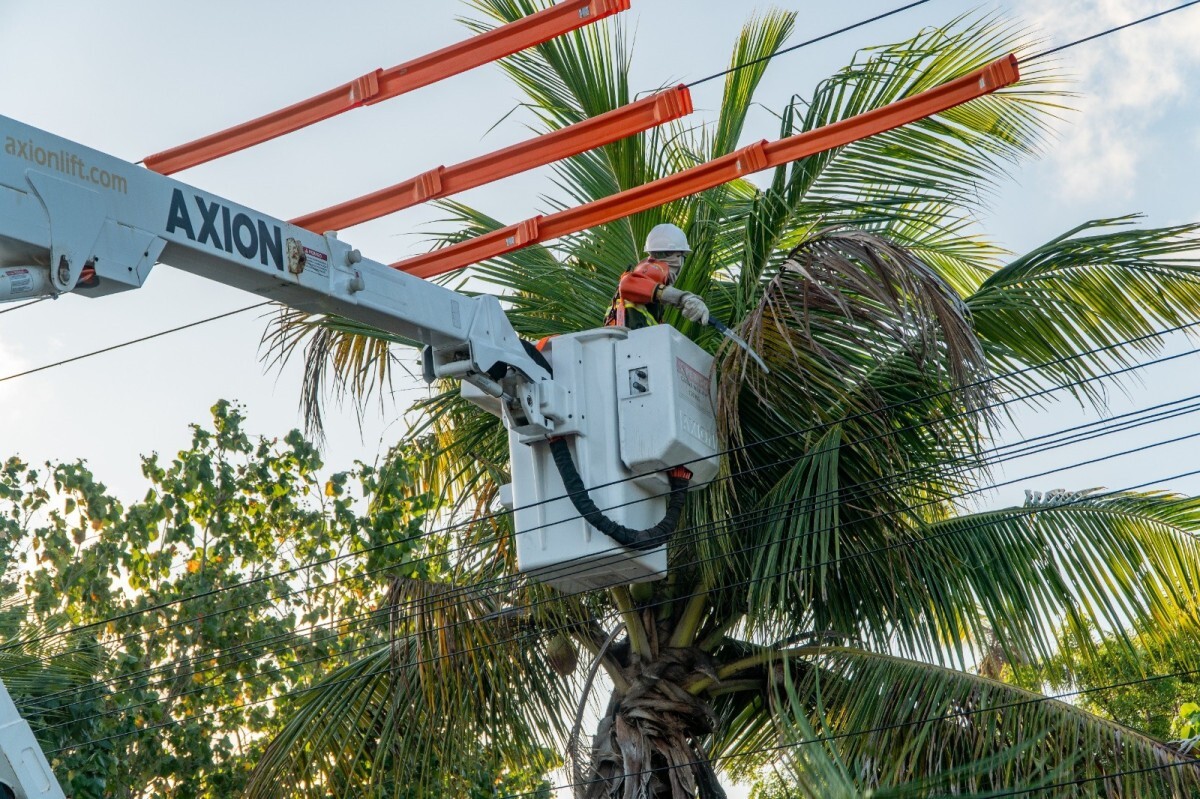 Neoenergia prepara operação especial para evitar falhas de energia durante eleições em Pernambuco